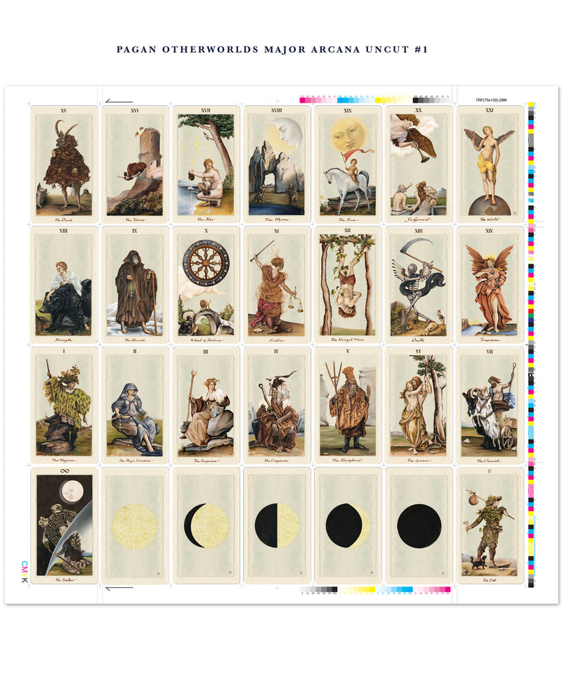 The Pagan Tarot Cards by Lo Scarabeo